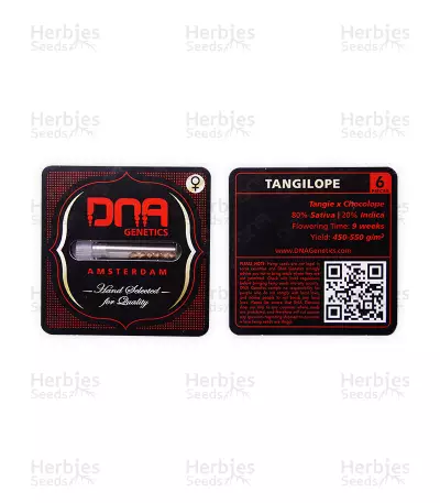 Tangilope Seeds