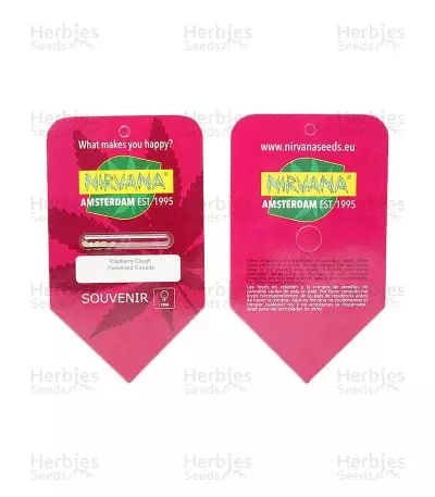 Raspberry Cough (Nirvana Seeds)