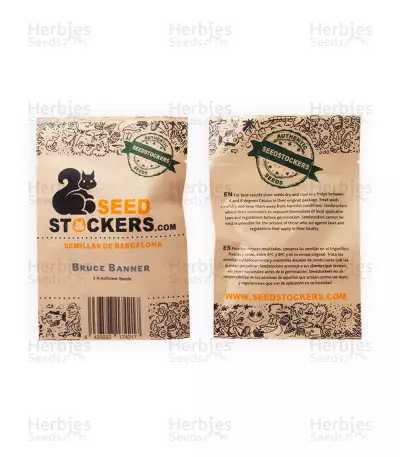 Bruce Banner Seeds (Seedstockers)