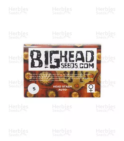 Head Stash Auto feminized seeds
