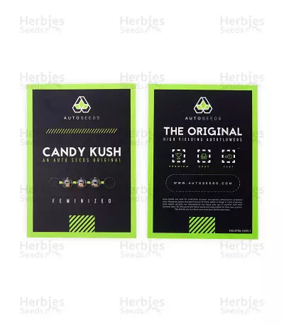 Candy Kush Auto feminized seeds