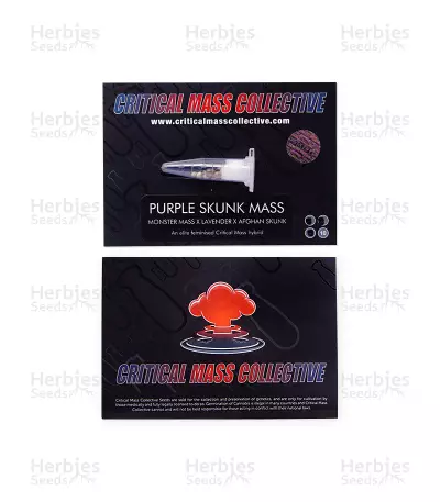 Purple Skunk Mass Seeds