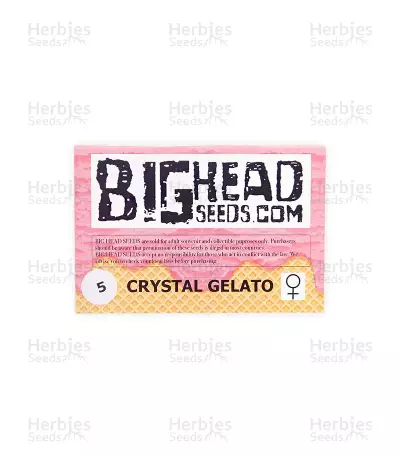 Crystal Gelato (Big Head Seeds)