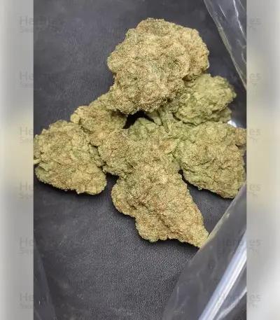 Sementes Feminizadas de Hella Jelly (Humboldt Seed Company)