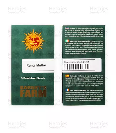 Runtz Muffin Seeds (Barney’s Farm)