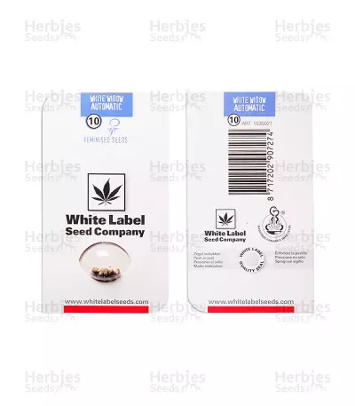 White widow Auto feminized seeds (White Label Seed Company)