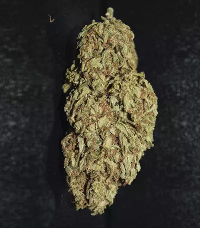 Original Auto AK Seeds