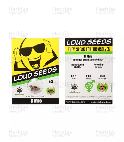 Graines de cannabis 8 Mile regular (Loud Seeds)