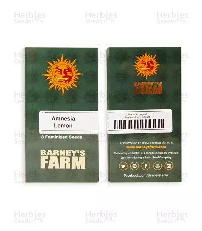 Amnesia Lemon Seeds