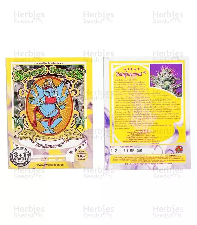 Botafumeiros feminized seeds