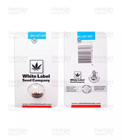 Graines de cannabis Hollands Hope Regular (White Label)
