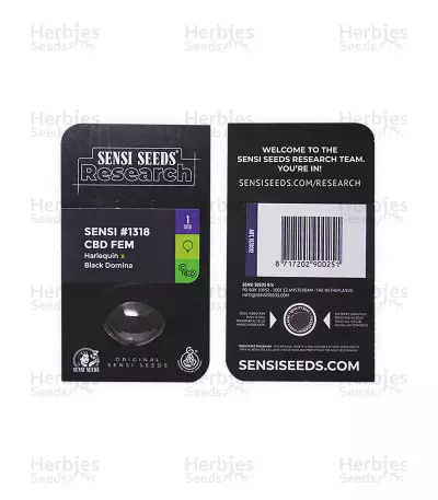 Sensi #1318 CBD (Sensi Seeds)