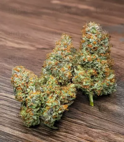 Cherry Pie Auto Seeds
