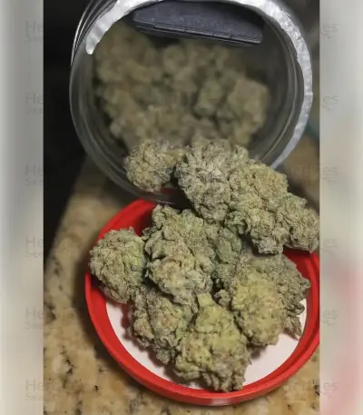 Granddaddy Purple Seeds