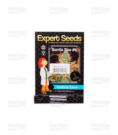 Gorilla x Lilly (Expert Seeds)