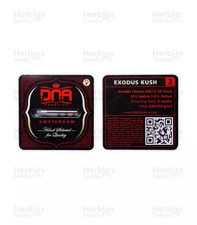 Graines de cannabis Exodus Kush (DNA Genetics)