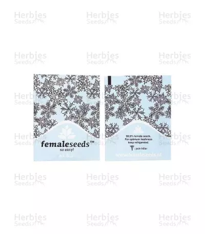 Graines de cannabis ICE (Female Seeds)
