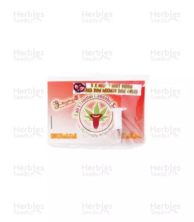 Graines de cannabis Mango Mist Shake (KFC Seeds)