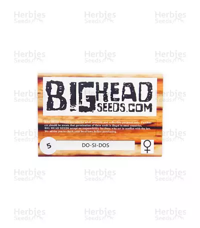 Semillas feminizadas Do-Si-Dos (Big Head Seeds)