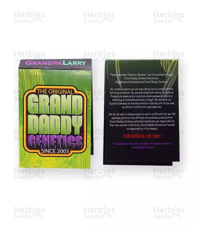 Grandpa Larry regular (Grand Daddy Purp)