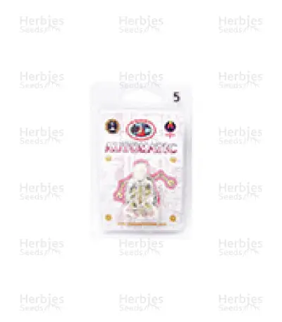 Graines de cannabis Automatic (Big Buddha Seeds)