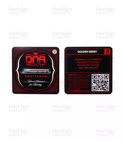 Golden Berry (DNA Genetics)