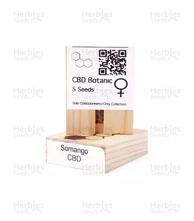 CBD Somango (CBD Botanic Seeds) Cannabis-Samen