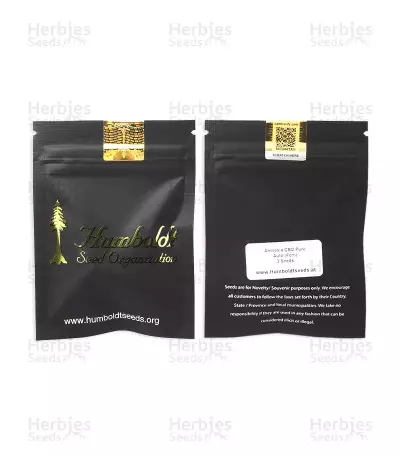 Amnesia CBD Pure Auto feminized seeds