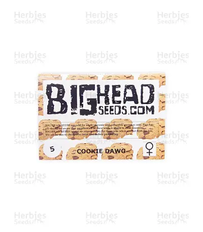 Cookie Dawg (Big Head Seeds)