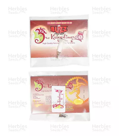 Graines de cannabis Buzz Light Gear (Dr. Krippling Seeds)