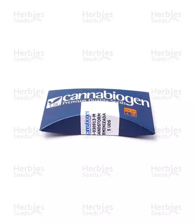 Sandstorm feminized seeds
