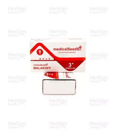 Graines de cannabis Malakoff (Medical Seeds)
