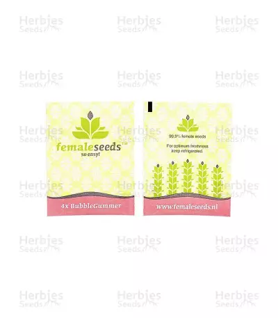 BubbleGummer (Female Seeds)