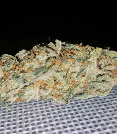 Ayahuasca Purple