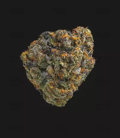 Graines de cannabis Girl Scout Cookies (Blackskull Seeds)
