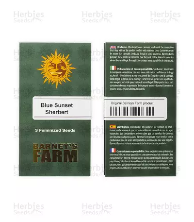 Blue Sunset Sherbert seeds