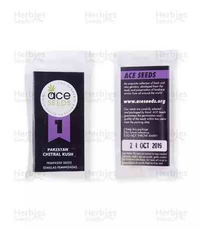 Pakistan Chitral Kush Seeds (Ace Seeds)