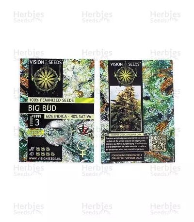 Big Bud (Vision Seeds)