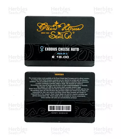 Exodus Cheese Autoflowering Auto Seeds