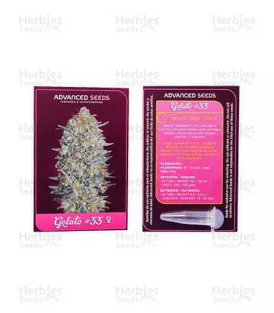 Gelato 33 feminized seeds (Advanced Seeds)