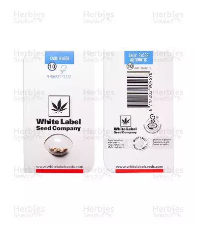 Snow Ryder Automatic feminized seeds
