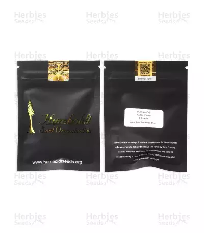 Mango OG Auto feminized seeds