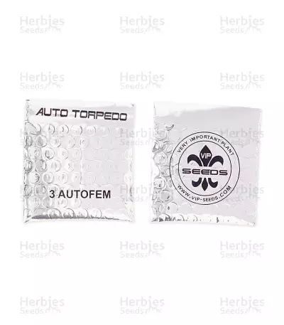Auto Torpedo strain seeds