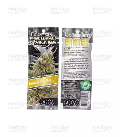 Auto Whiteberry (Paradise Seeds)