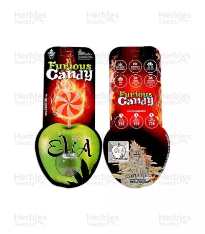 Semi femminizzati Furious Candy