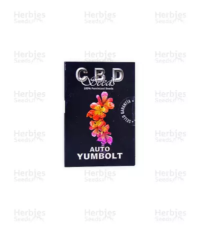 Auto Yumboldt (CBD Seeds)