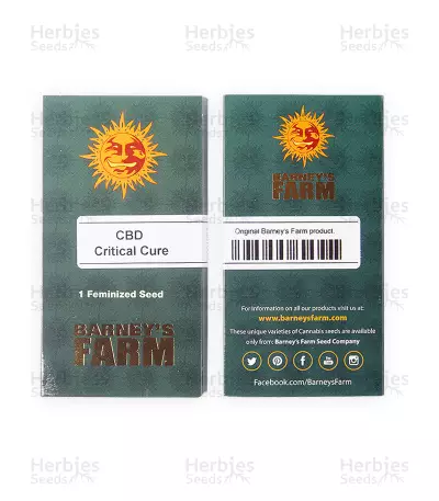 CBD Critical Cure Seeds