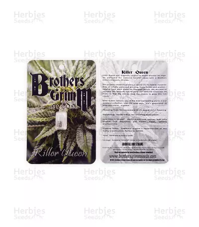 Killer Queen Seeds