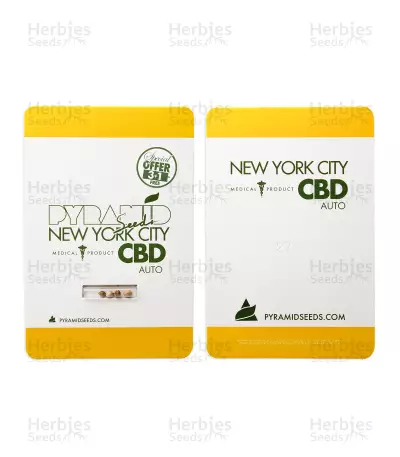 Auto New York City CBD (Pyramid Seeds) Cannabis-Samen