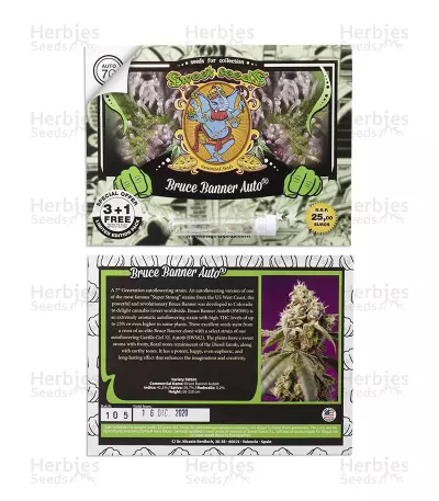 Bruce Banner Auto strain seeds